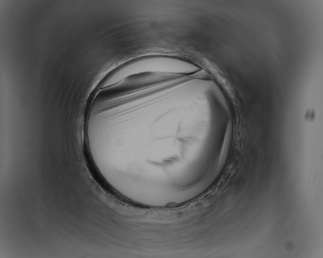 X0000099950011200806201324