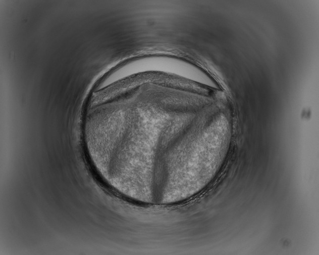 X0000099950012200806201324