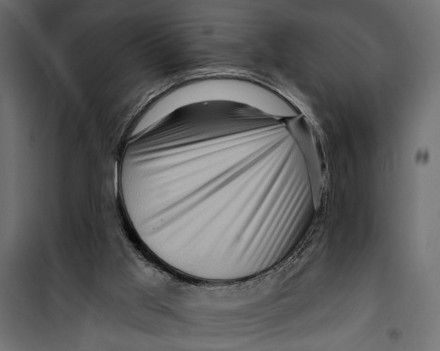 X0000099950013200806201324