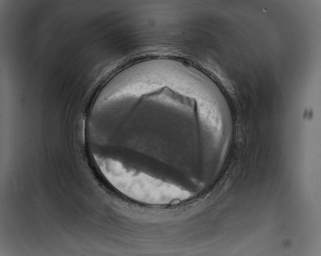 X0000099950014200806201324