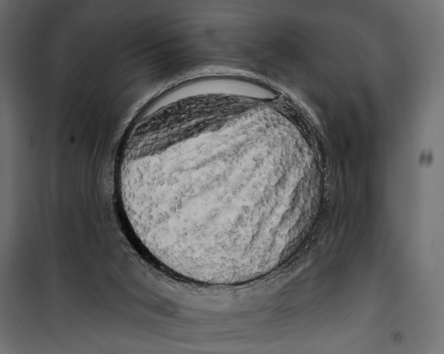 X0000099950015200806201324
