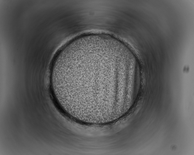 X0000099950016200806201324
