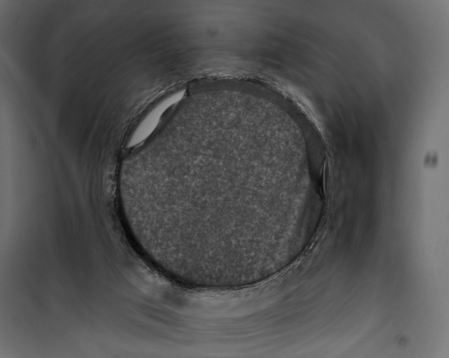 X0000099950017200806201324