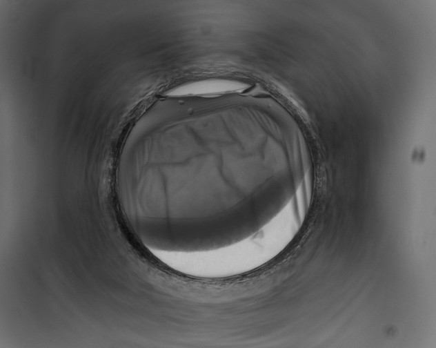 X0000099950018200806201324