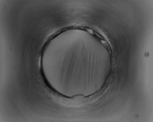 X0000099950019200806201324