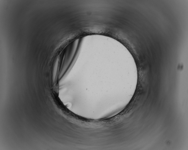 X0000099950020200806201324