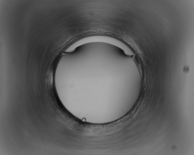 X0000099950021200806201324