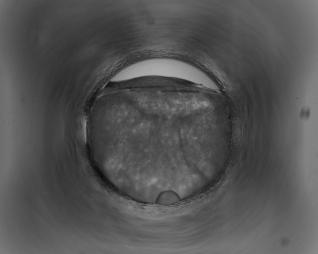 X0000099950022200806201324