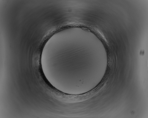 X0000099950023200806201324