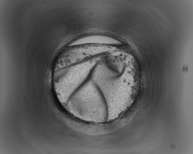 X0000099950024200806201324