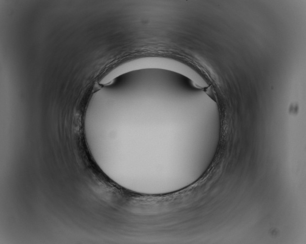 X0000099950025200806201324