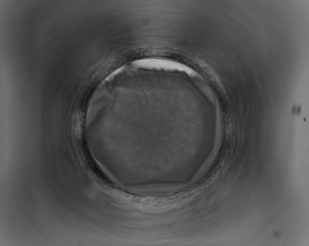 X0000099950026200806201324