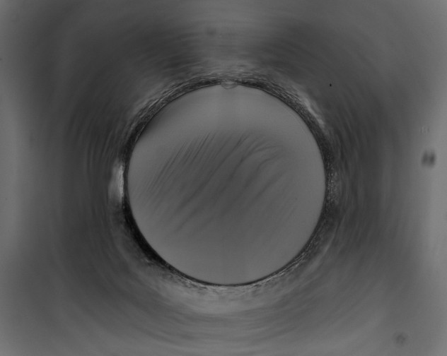 X0000099950027200806201324