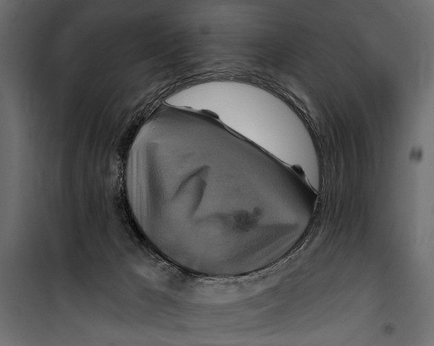 X0000099950029200806201324