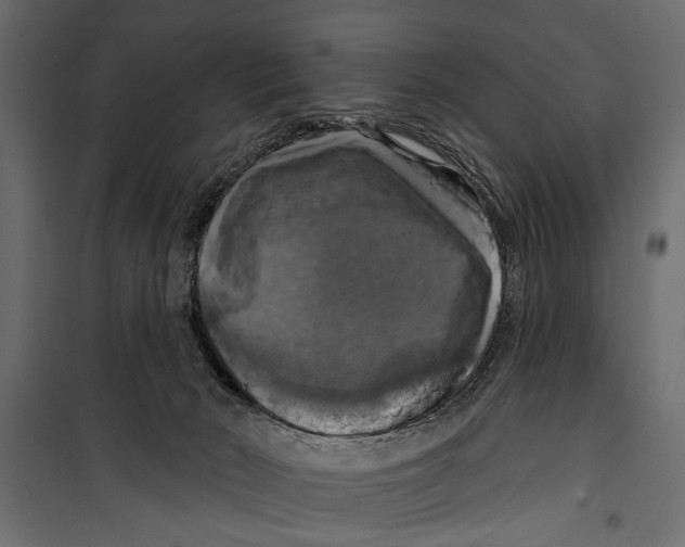 X0000099950030200806201324