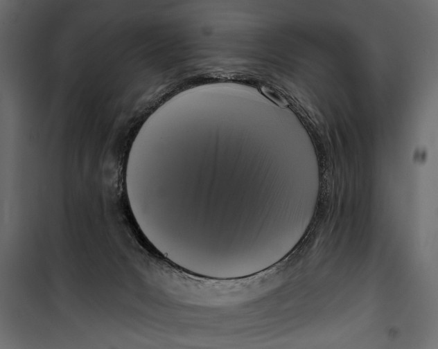 X0000099950031200806201324