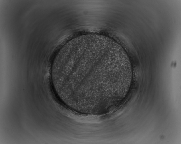 X0000099950032200806201324
