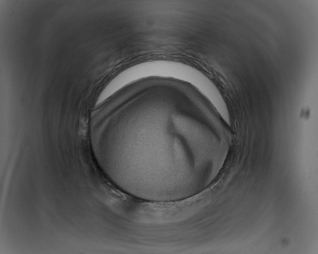 X0000099950033200806201324