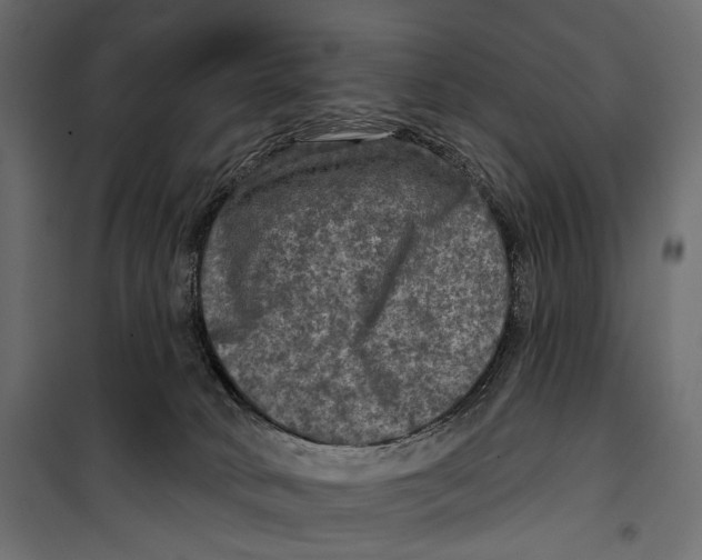 X0000099950034200806201324