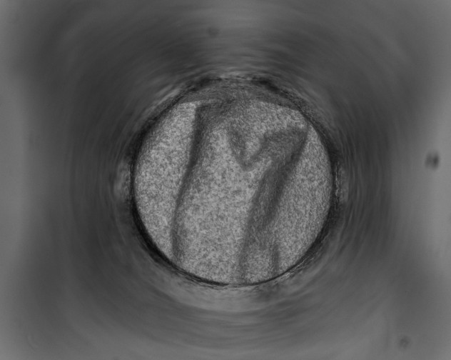X0000099950036200806201324