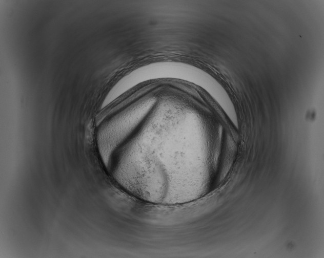 X0000099950037200806201324