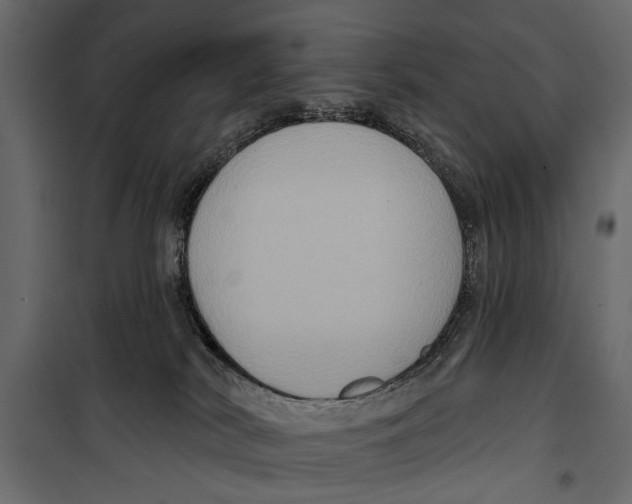 X0000099950038200806201324