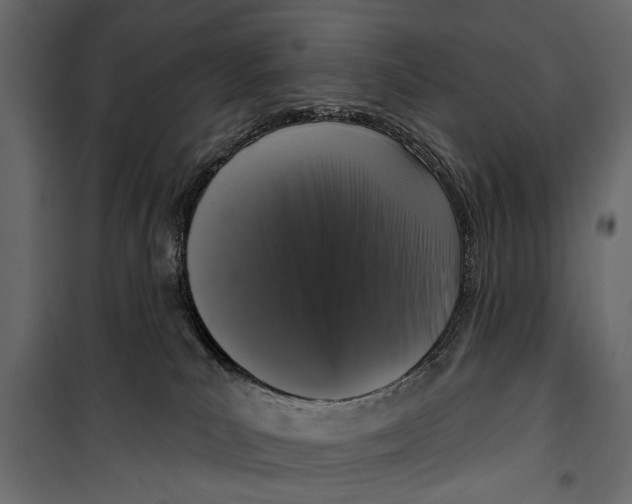 X0000099950039200806201324