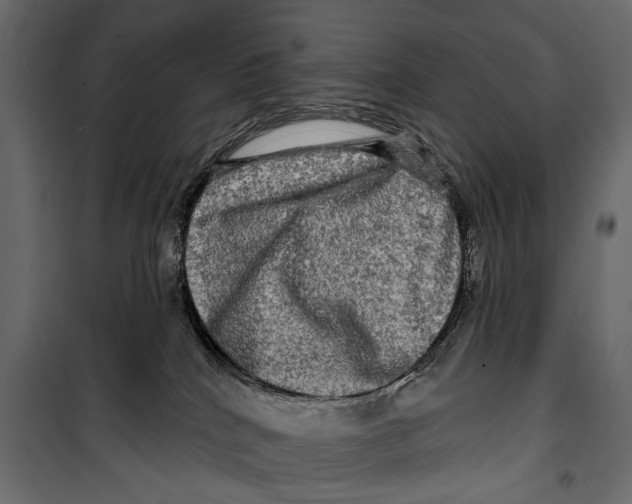 X0000099950040200806201324