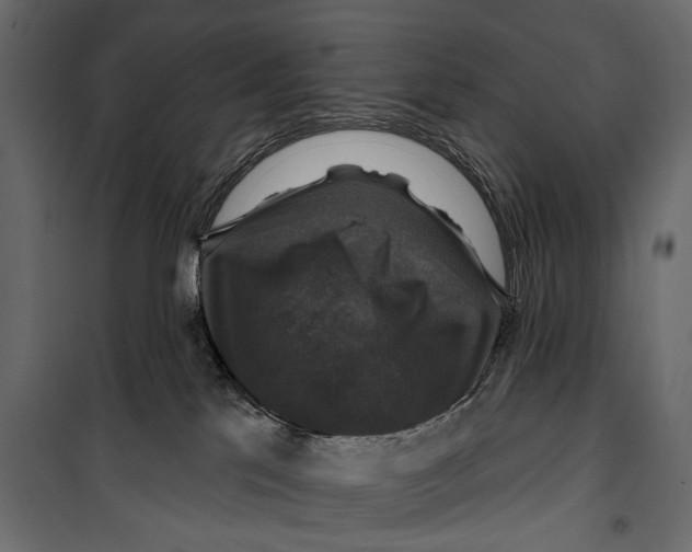 X0000099950041200806201324