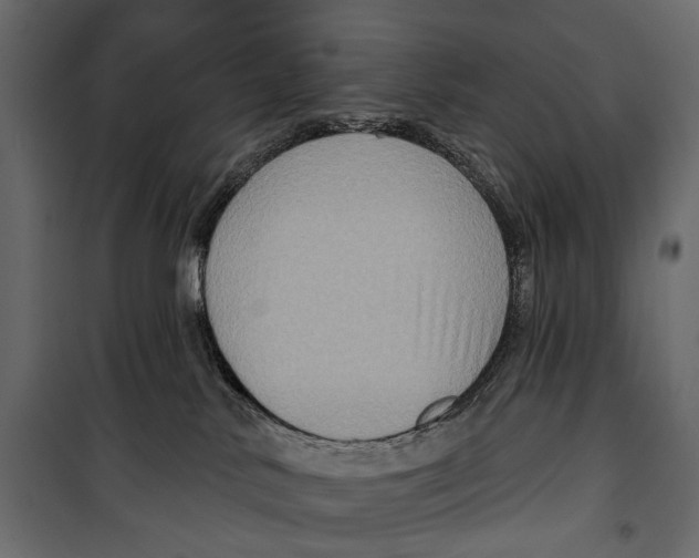 X0000099950042200806201324