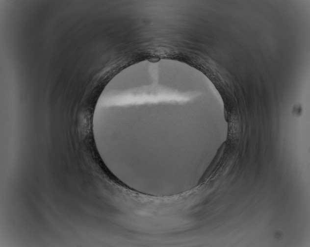 X0000099950043200806201324