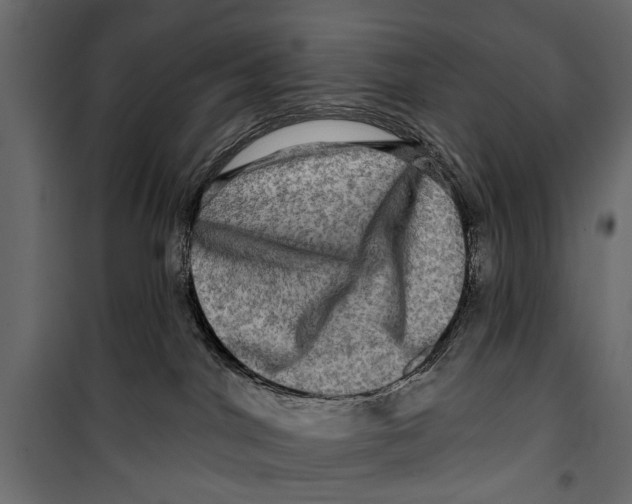 X0000099950044200806201324