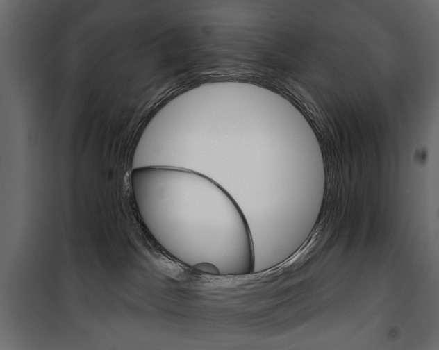 X0000099950045200806201324