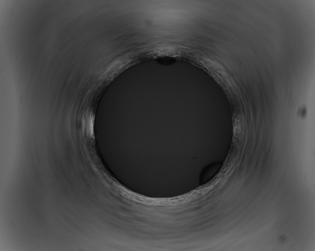 X0000099950046200806201324