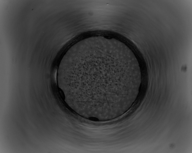 X0000099950047200806201324