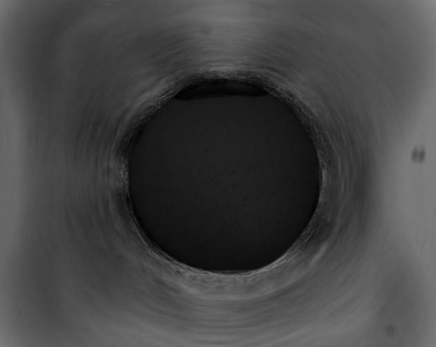 X0000099950048200806201324