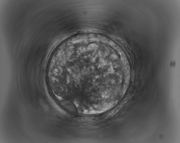 X0000099950049200806201323