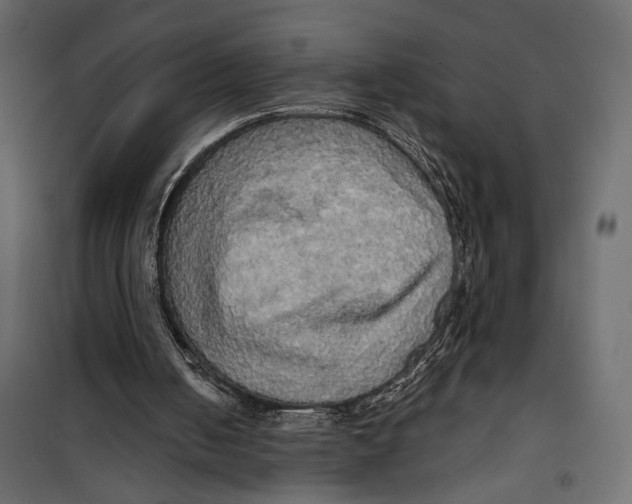 X0000099950050200806201323