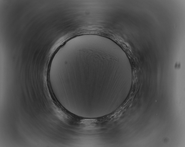 X0000099950051200806201323