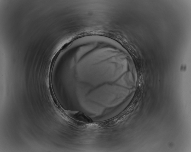 X0000099950052200806201323