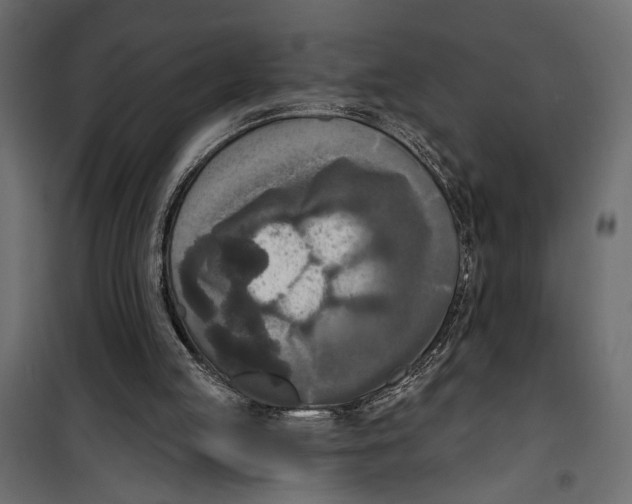 X0000099950053200806201323