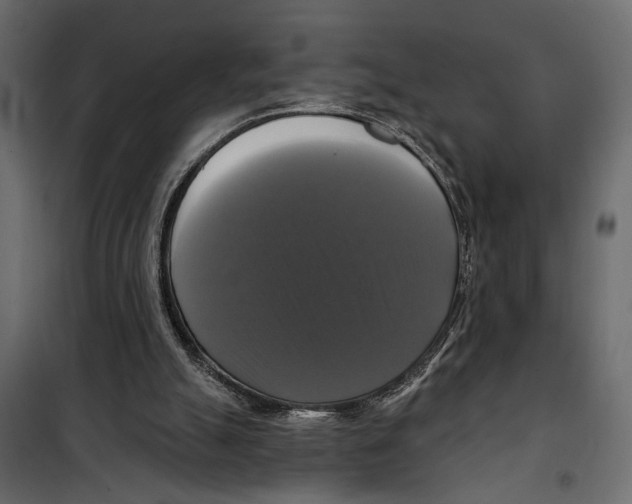 X0000099950055200806201323