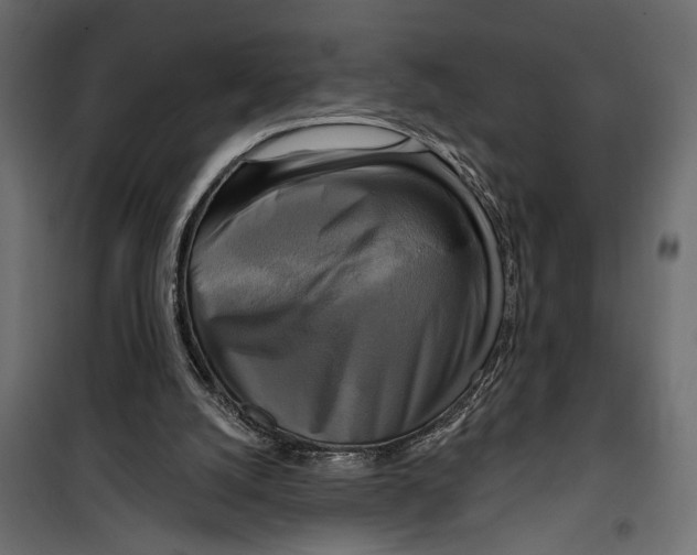 X0000099950056200806201323
