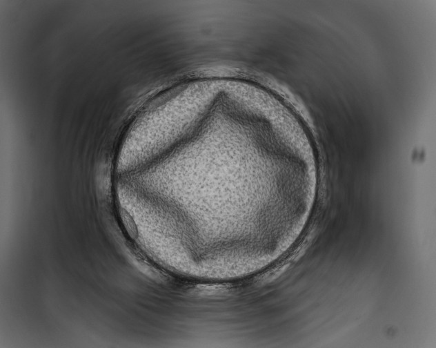 X0000099950057200806201323
