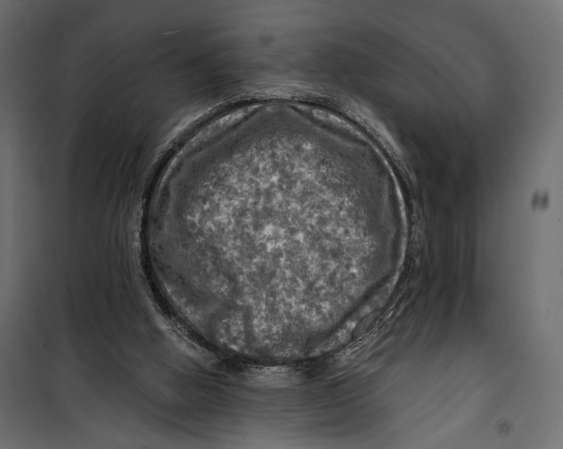 X0000099950058200806201323