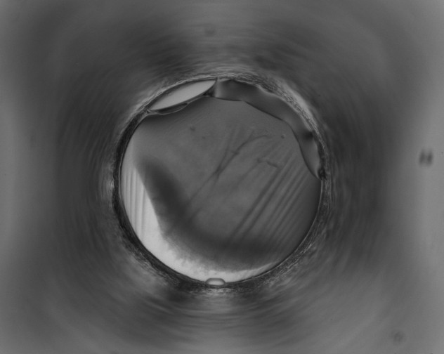 X0000099950059200806201323