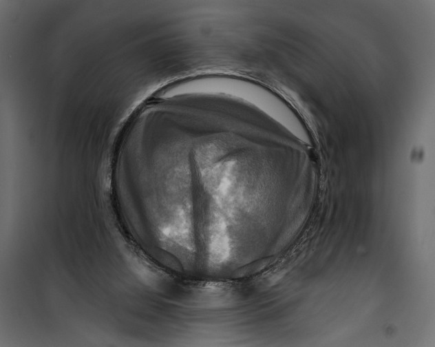 X0000099950060200806201323