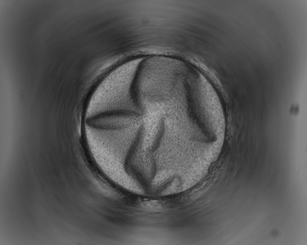 X0000099950062200806201323