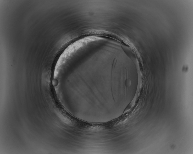 X0000099950063200806201323