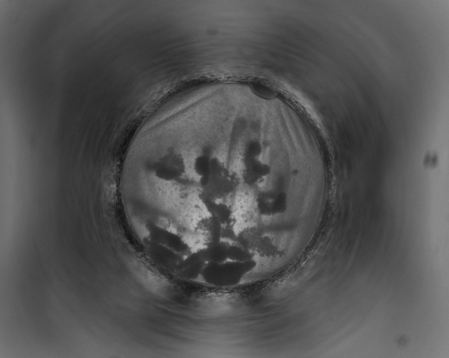 X0000099950065200806201323